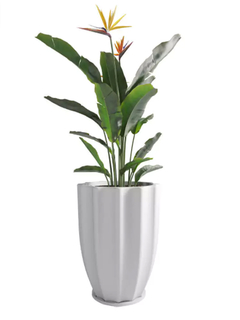Rotomoldeada Loto Blanca Grande