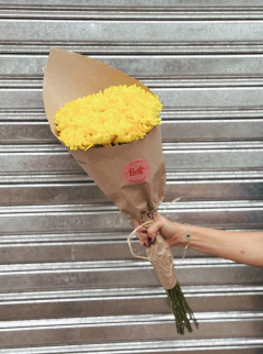 Fardo Vicente Amarillo en internet