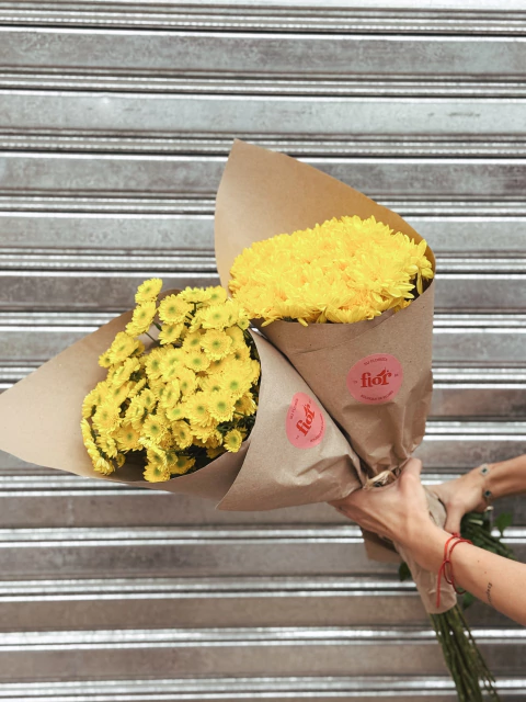 Fardo Vicente Amarillo - comprar online