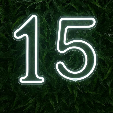 Painel Led Neon Número 15 Branco Frio - Festas E Eventos 50cm Altura - comprar online