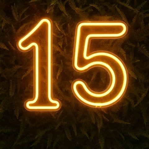 Painel Led Neon Número 15 Branco Quente - Festas E Eventos 50cm Altura - comprar online