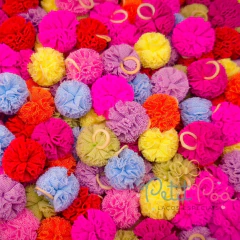 LAÇO PET POMPOM TULE PARA PENTADOS - BANHO E TOSA (24 UNIDADES) na internet
