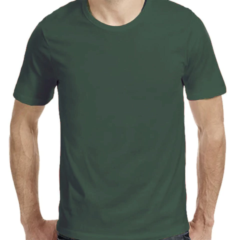 Imagen de Remera lisa de algodón