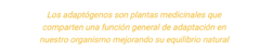 Banner de la categoría ADAPTOGENOS