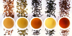 Banner de la categoría INFUSIONES