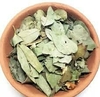 EUCALIPTUS POR 100 gr