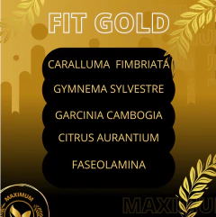 Imagem do Maximum Nutrition - Fit Gold