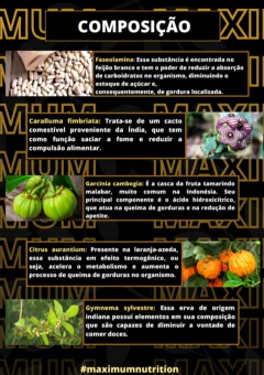 Maximum Nutrition - Fit Gold - loja online