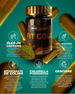 Imagem do Maximum Nutrition - Fit Gold