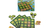 Lucky Numbers - comprar online