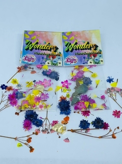 WONDERS NATURALEZA MUERTA