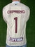Camisa Oficial de Goleiro manga longa FLUMINENSE DE FEIRA 2023 - Touro do Sertão-SEM PATROCÍNIOS na internet