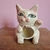 Hornillo gatito lila, feria