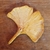 Portasahumerio Gingko, feria