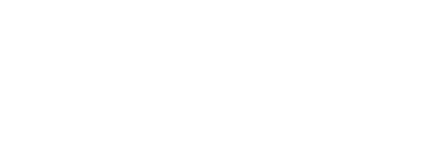 Camisas de Animes