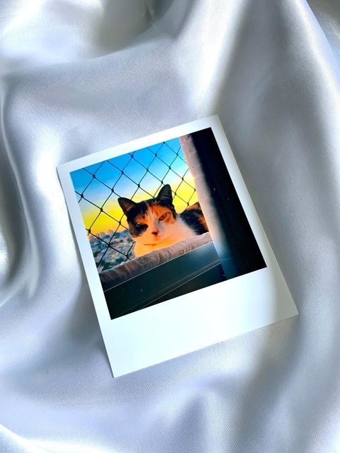Foto Quadrada