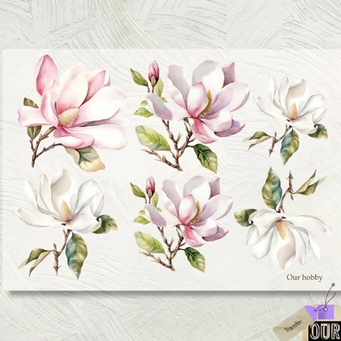 Transfer Color A4 "Magnolias" | TH 024