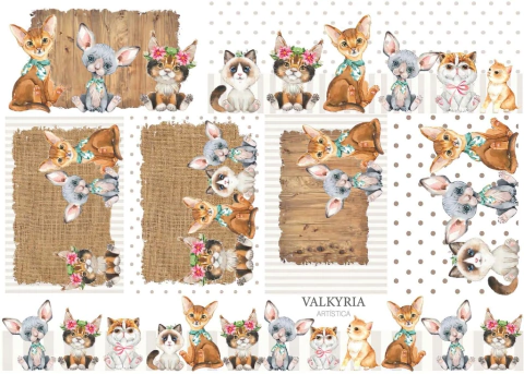 Seda 70 x 50 SD 407 | PETS5