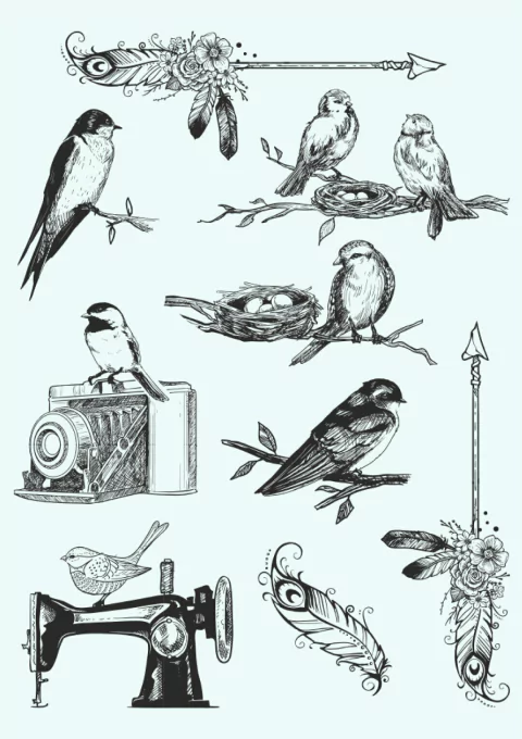 Trans-Folex 27 x 36 "Pajaritos 1" (3 Colores)