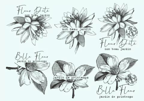 Trans-Folex 27 x 36 "Frases y Flores" (3 Colores)