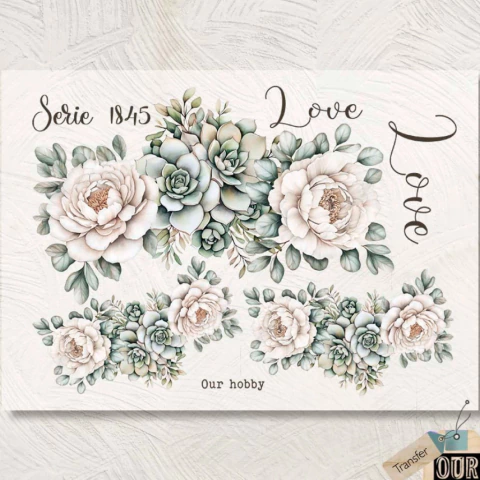 Transfer Color A4 "Flores y Suculentas" | TH 084 - comprar online