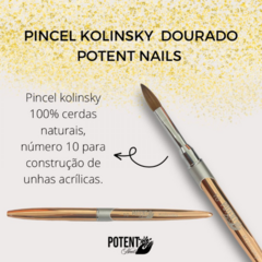 Pincel Acrílico nº10 Dourado Potent Nails 100% Kolinsky