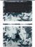 Skin Macbook Pro M1