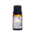 Essência Caszulo 10ml Campos de Lavanda - comprar online