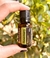 Óleo Essencial dōTERRA: Rosemary 15ml - Alecrim - ELEVAH