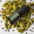 Óleo Essencial dōTERRA: Cardamom 5ml - Cardamomo