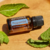 Óleo Essencial dōTERRA: Peppermint 15ml - Hortelâ Pimenta