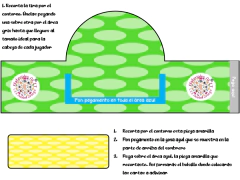 El gorro de adivinanzas - MaterialesALIT