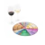 Rueda de Aromas