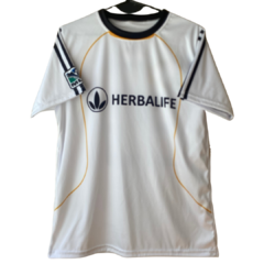 Los Angeles Galaxy 2008/2009