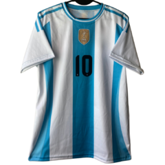 Argentina 2024 en internet