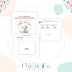 Livro do Bebê - Ovelhinha na internet