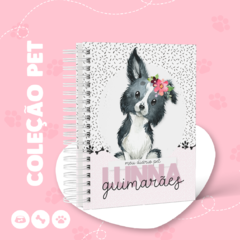 Caderneta Pet - Dog Fêmea - Raças - comprar online