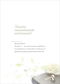 La Fiesta del Matrimonio (Album Acolchado) en internet