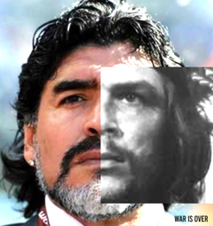 CUELLO REDONDO "DIEGO GUEVARA" - comprar online