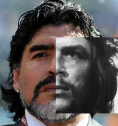 CANGURO "DIEGO GUEVARA" - comprar online