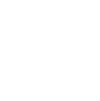 SnacPhone