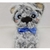 PROJETO NA BORDADEIRA - AGARRADINHOS PETS - PRODUTO DIGITAL - comprar online