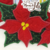 PROJETO NA BORDADEIRA - FLOR DE NATAL - PRODUTO DIGITAL