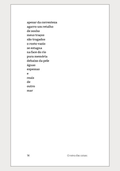 O reino das coisas – Hudson R. Santos na internet