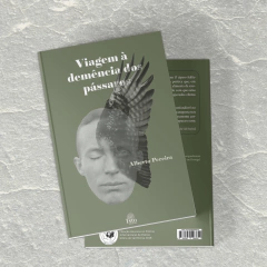 Viagem à demência dos pássaros – Alberto Pereira - Editora Isto Edições – Livros de poesia
