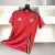 Camisa País de Gales Home 24/25 Torcedor Adidas Masculina - Vermelho - comprar online