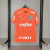 Camisa Palmeiras Goleiro 24/25 Torcedor Puma Masculina - Laranja - comprar online