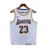 Regata Los Angeles Lakers Branco - James #23 - comprar online