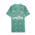 Camisa Palmeiras Goleiro24/25 Torcedor Puma Masculina - Verde Claro