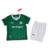 Kit Infantil Palmeiras Home 25/26 - Verde - comprar online